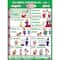 Poster Pals® Irregular Spanish Verb Poster, 7ct.